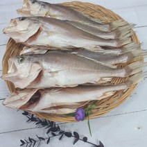 부산 반건조 생선 침조기 반찬용 구이 조림용, 1개, 2마리 (31cm내외 210~250g내외)
