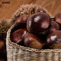 살이 꽉 찬 맛있는 알밤, 알밤 3kg 대