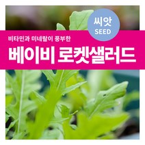 마이플랜트 샐러드 채소 베이비 로켓샐러드 루꼴라 씨앗, 3000립, 1개