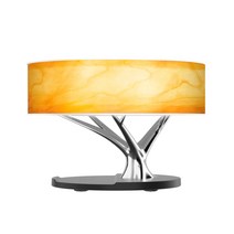 무선충전기 블루투스 스피커 야간등 다기능 휴대폰 오디오 침대 LED 단스탠드, T02-업스타일 광운 스탠드, C01-3W 센터페시아