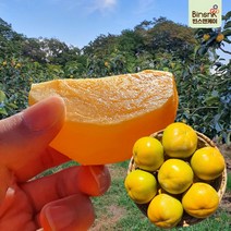 프리미엄 태추단감 배단감 부유단감, 1박스, 5kg (중: 21~23과)