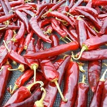 [이광범명가]태양초 괴산 청결 고춧가루 1kg, 단품