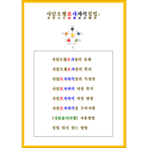사암침 사임침법 사암자석침법(초보자용) + 사암자석 N극 S극 구분 자석패치(3mm x 1mm)