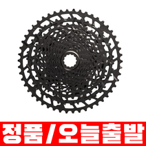 스램 PG-1230 NX EAGLE 12단 11-50T 시마노바디호환