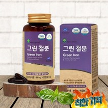 철분 임산부 철분제 영양제 가임기