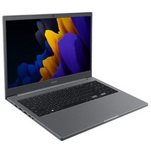 삼성전자 2021 노트북 플러스2 15.6, 미스틱 그레이, NT550XDA-K24AY, 펜티엄, 256GB, 8GB, WIN11 Pro