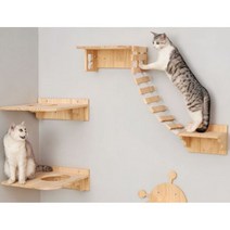 원목 벽면 고양이 캣타워 캣폴 DIY / 성묘 가구 뚱냥 중형 해먹 대형캣, 타워랜드 3층캣폴