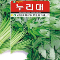 누리대 씨앗 20립/ 누룩치 약초 나물 민속채소 토종 주말농장 텃밭 키우기