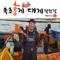 [속초 산지직송] 예원수산 제철홍게 생물 자숙(찜) 라면용 실속형 정품형 박달형 홍게택배, 1박스, 생물 실속형 3kg(9-10미)