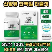 BCAA 필수아미노산 류신 타블렛 산양유 단백질 프로틴 유청칼슘 발린 이소류신 분리 유청단백질 WPI 5통 알약 타입 고트밀크 HACCP 아미노액티브 BACC 남자 여자 친구 남친 여친 추천