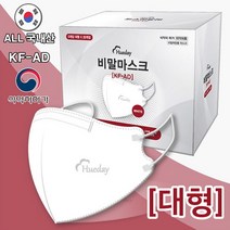 브랜드없음 코튼데이 휴데이 새부리형 비말마스크 100매 (소형/중형/대형), 대형