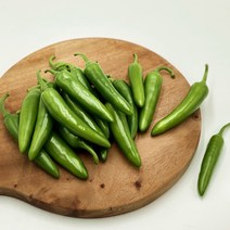 국내산 모닝고추 아삭이고추 오이맛고추 (특) 1kg 3kg 5kg 10kg [노블프레쉬], 모닝고추(특) 3kg