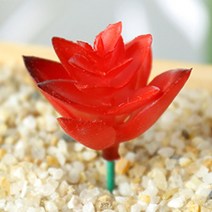 (주)아트인 인조 다육이(S04), 레드A