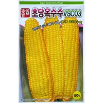 아시아종묘 초당 옥수수 씨앗 종자 100립 생식용 초당옥수수 단옥수수 노랑옥수수, 1세트