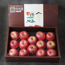[산지직송] 영동 사과 선물세트 5kg(13과), 단품