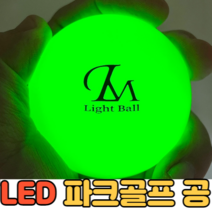 웰플레이 LED 파크골프공 파크골프 야광공 형광 파크볼 파크공 야간 파크볼 야광, 그린