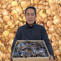 히카마 씨앗 멕시코감자 얌빈 모종 씨 파종, 히카마 씨앗20g(약130립)