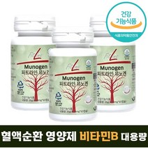 식약처 인증 정품 독일 피엠 피트라인 뮤노겐 pm FitLine Munogen 60 정 캡슐 3통 3개월분 대용량 비타민 B 엽산 함유 산화 질소 혈관 혈액 건강 도움 피앰 무노겐, 60캡슐*3개