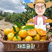 귤왕 제주 농장 직배송 제철 과일 귤 노지 감귤 5kg 10kg, 06.노지감귤 프리미엄과 (S) 10kg