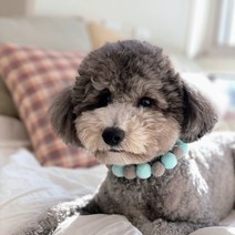 고양이 강아지 케이프 폼폼 꽃 목걸이 핸드메이드 악세사리 스카프 보타이 턱받이 목도리, 플라워, 1.옐로우화이트(플라워)