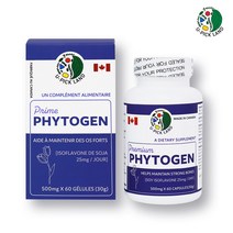 파이토젠 대두이소플라본 콜라겐 당귀 세이지잎 붉은토끼풀 뼈건강, 500mgx60캡슐 2세트