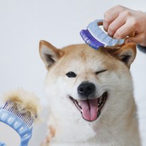 강아지 고양이 조개빗 털빠짐 힐링 브러쉬 털 관리 개털 고양이털 빗, 조개빗(블루)