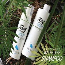 물없이감는 드라이 워터리스 샴푸 환자용 산모 임산부, 샴푸 200ml 본품