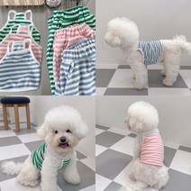 강아지 커플룩 개플룩 시밀러룩 커플티, 보호자용, 그린
