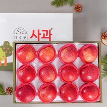 [산지직송] 청송사과 선물세트 5kg (11-13과) 대과, 단품