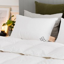 [소프라움] 사르르 헝가리30 구스다운 베개솜 1000g (50X70), 화이트/(MDS22AS01P12WH50*70)