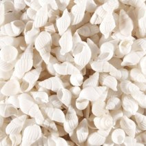 미니 소라껍질 화이트(흰색) (용량선택), 약 1kg