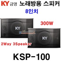 KY금영 KSP-100 KSP-200 노래방용 스피커 8인치 300W 10인치 500W2Way 3Speaker 신흥몰