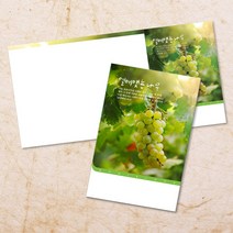 교회주보 예배 주보용지 3단6면 주보지 안내지 전도지 절기 부활절 추수감사 맥추감사 성탄절 신년감사 디자인 기독교용품, EW-14