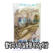 다인 활낙지 소 6미 실중량 850g 냉동낙지 볶음 탕 제사용 제수용 [2601-0]150/200 활낙지6미850g