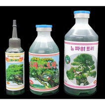 트리앤트리 수목용 수간주사 500ml 나무영양제 조경수관리 이식나무 수세회복 질소 수용성인산 붕소 아연 구리 철분장애 활화현상 냉해 가뭄해예방 광합성촉진 소나무 병충해방지, 1개