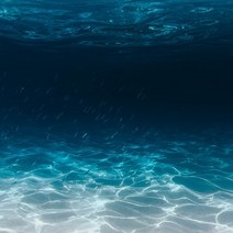 블루마린(바다향) 프래그런스오일, 100ml, 100ml