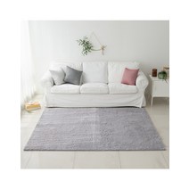 푸들 카페트 러그 인테리어 거실카페트 카펫 120x200