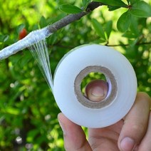 다파요 원예용 접목용 접목테이프 원예테이프 식물테이프 접붙이기 원예자재, 1P