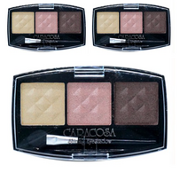 카라코사 샤이닝 3색 아이섀도 팔레트, 305, 24개