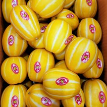 성주 꿀 참외 산지직송 프리미엄 당도선별 5kg, 3.참외 가정용 5kg 중과, 1개