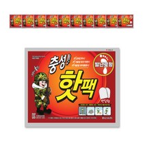 충성 핫팩 보온대 발난로 20g x 2입, 2입10개