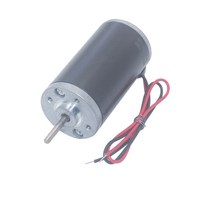 감속 모터 저속 감속기 웜 조절기 31 영구 자석 DC 소형 고출력 속도 제어 역방향 12V 고속 24V, 6000rpm