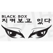 블랙박스 녹화중 스티커 CCTV 데칼 컨트리맨 TG 튜닝 MQ4 미니쿠퍼 베뉴 베라크루즈 소나타 투싼NX4 더뉴레이 그랜져IG 티볼리 익스플로러 펠리세이드, 1개, 오렌지
