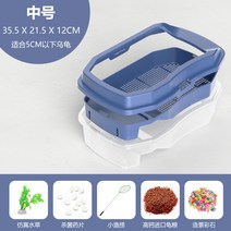 육지 소라게 거북이 키우기 도둑게 사육장, 【귀족청】중호 나항아리개