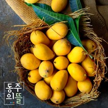 동주 황제망고 태국망고 5KG 항공직수입 프리미엄 생망고, 1개