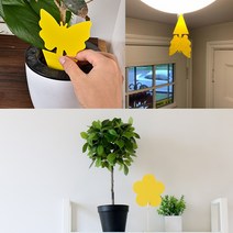 해충방제 전문 가정용 화분 뿌리파리퇴치 파리끈끈이, 나비트랩10+꽂이5