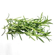 로즈마리 100g