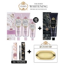 샤피) 클라이덴 미백 더본 화이트닝 치약 130g*3+40g*1+칫솔*1+트레이, 단품