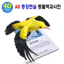 사이언스몰 증강현실 동물카드[새_20종] 동물백과사전