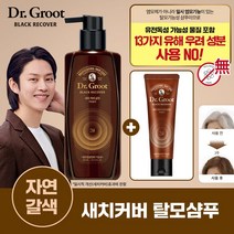 [자연갈색] 닥터그루트 블랙리커버 새치커버 샴푸 400ml+트리트먼트 150ml, 단품